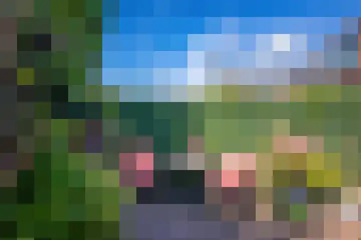 Leidsevaart 164 Vogelenzang thumbnail 15