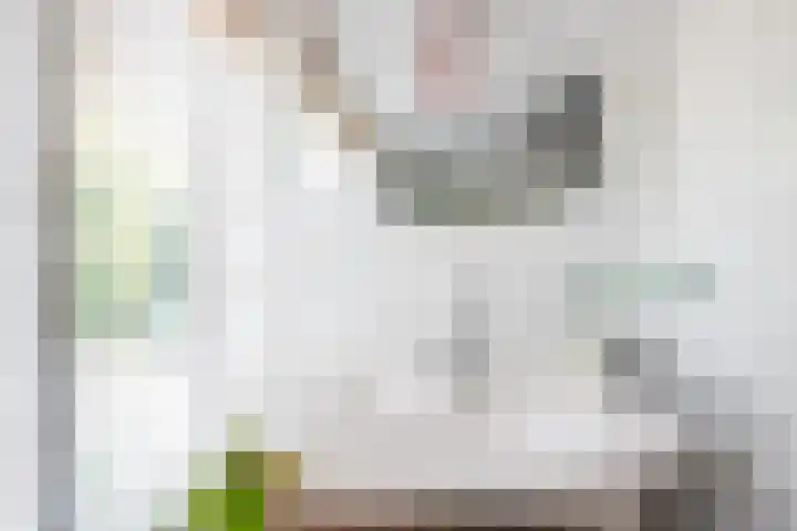 Leidsevaart 164 Vogelenzang thumbnail 31