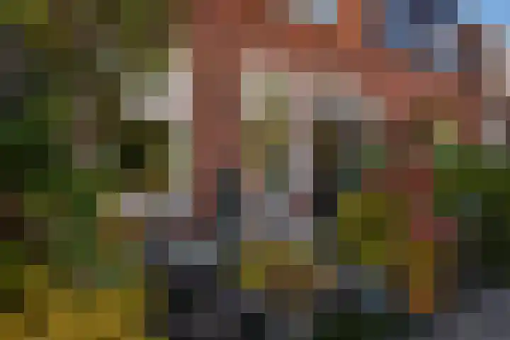 Leidsevaart 164 Vogelenzang thumbnail 33
