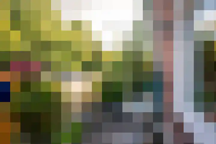 Leidsevaart 164 Vogelenzang thumbnail 34