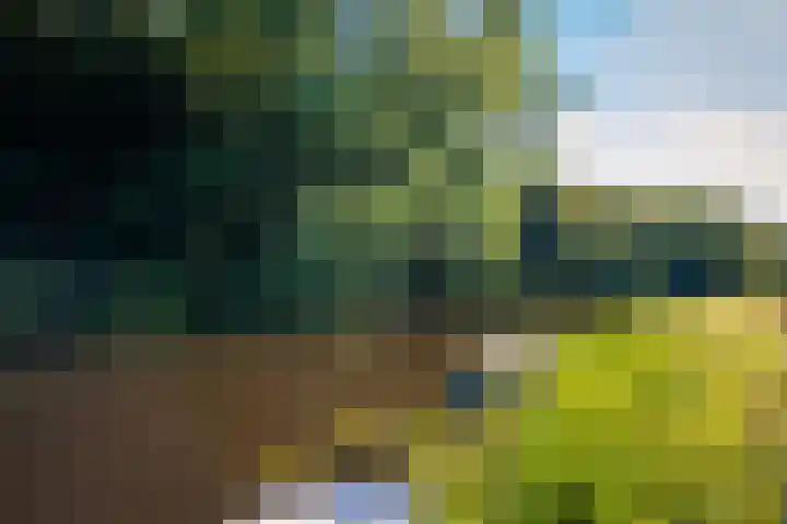 Leidsevaart 164 Vogelenzang thumbnail 36