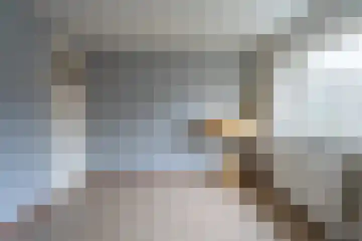 Leidsevaart 172 Noordwijkerhout thumbnail 17
