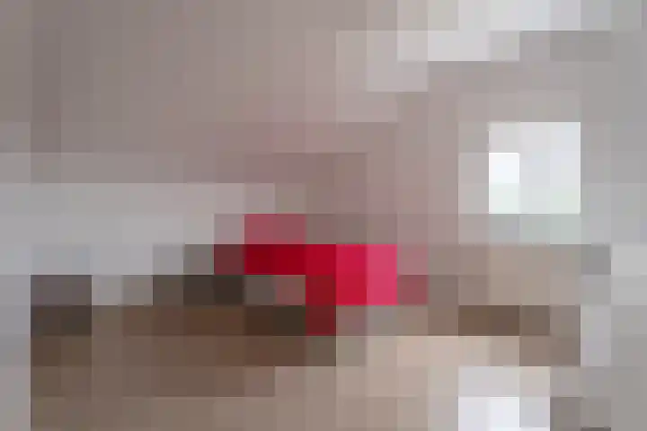 Leidsevaart 172 Noordwijkerhout thumbnail 20