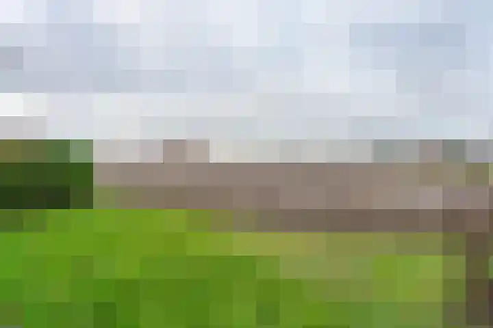 Leidsevaart 172 Noordwijkerhout thumbnail 30