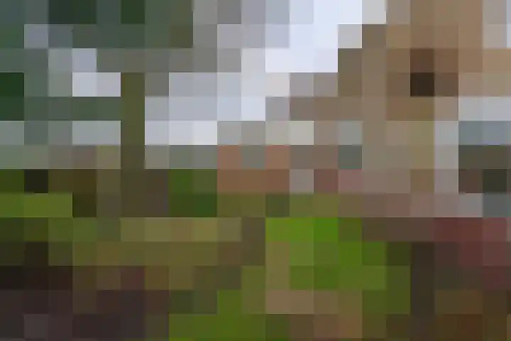 Leidsevaart 172 Noordwijkerhout thumbnail 31