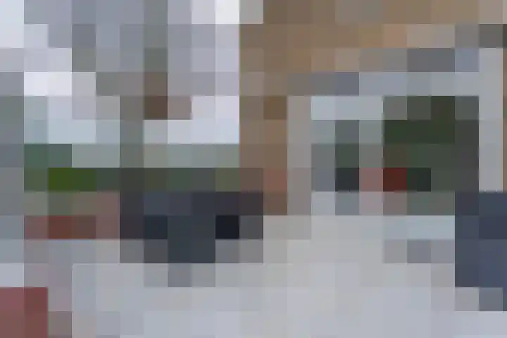Leidsevaart 172 Noordwijkerhout thumbnail 33