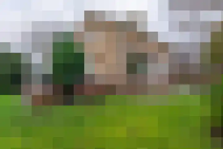 Leidsevaart 172 Noordwijkerhout thumbnail 34