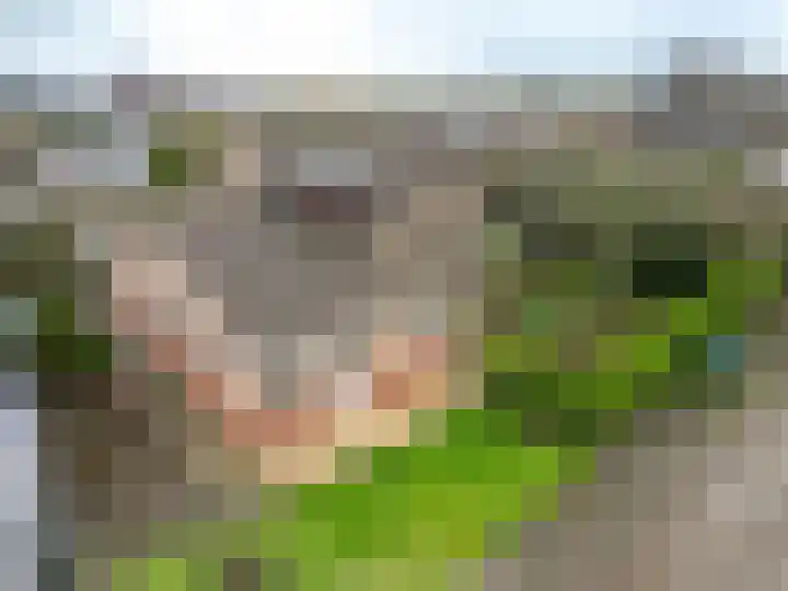 Leidsevaart 172 Noordwijkerhout thumbnail 36