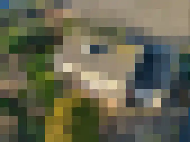 Leidsevaart 172 Noordwijkerhout thumbnail 41
