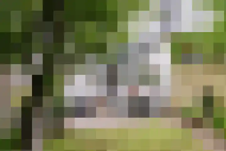 Leidsevaart 228 Haarlem thumbnail 21
