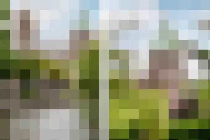 Leidsevaart 228 Haarlem thumbnail 37
