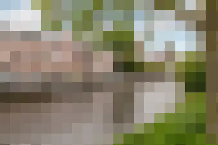 Leidsevaart 228 Haarlem thumbnail 5