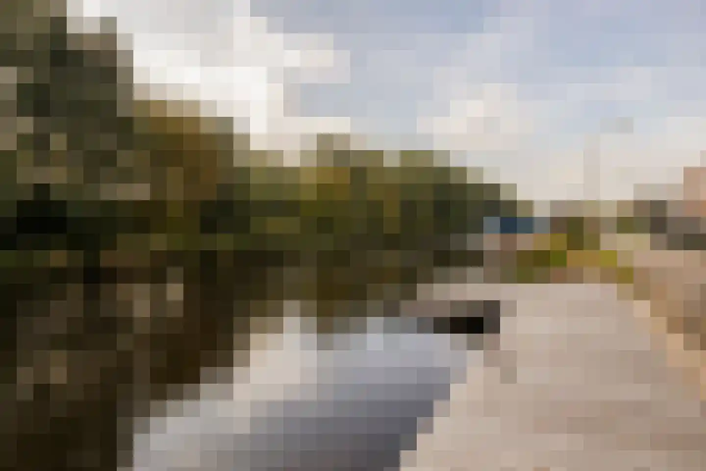 Leidsevaart 28 ws Noordwijkerhout thumbnail 19