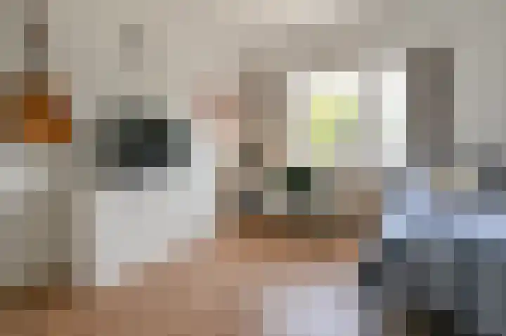 Leidsevaart 300 Haarlem thumbnail 21