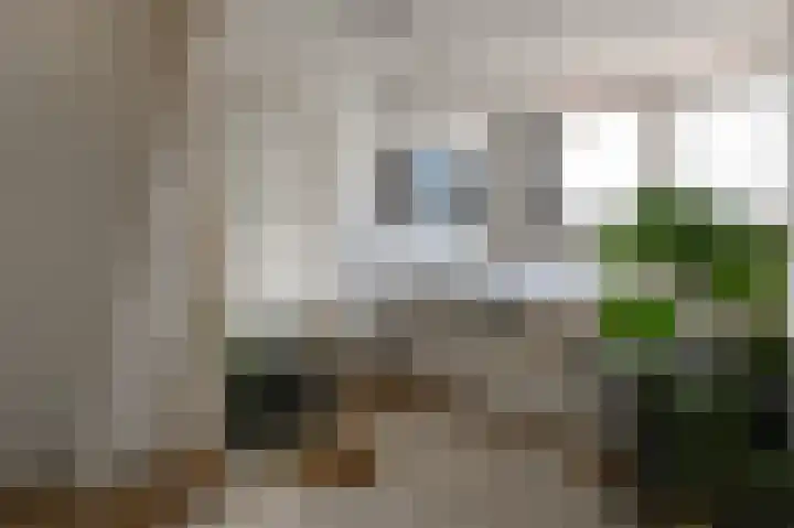 Leidsevaart 300 Haarlem thumbnail 27