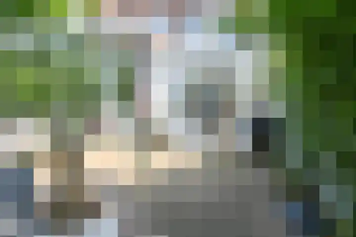 Leidsevaart 300 Haarlem thumbnail 38