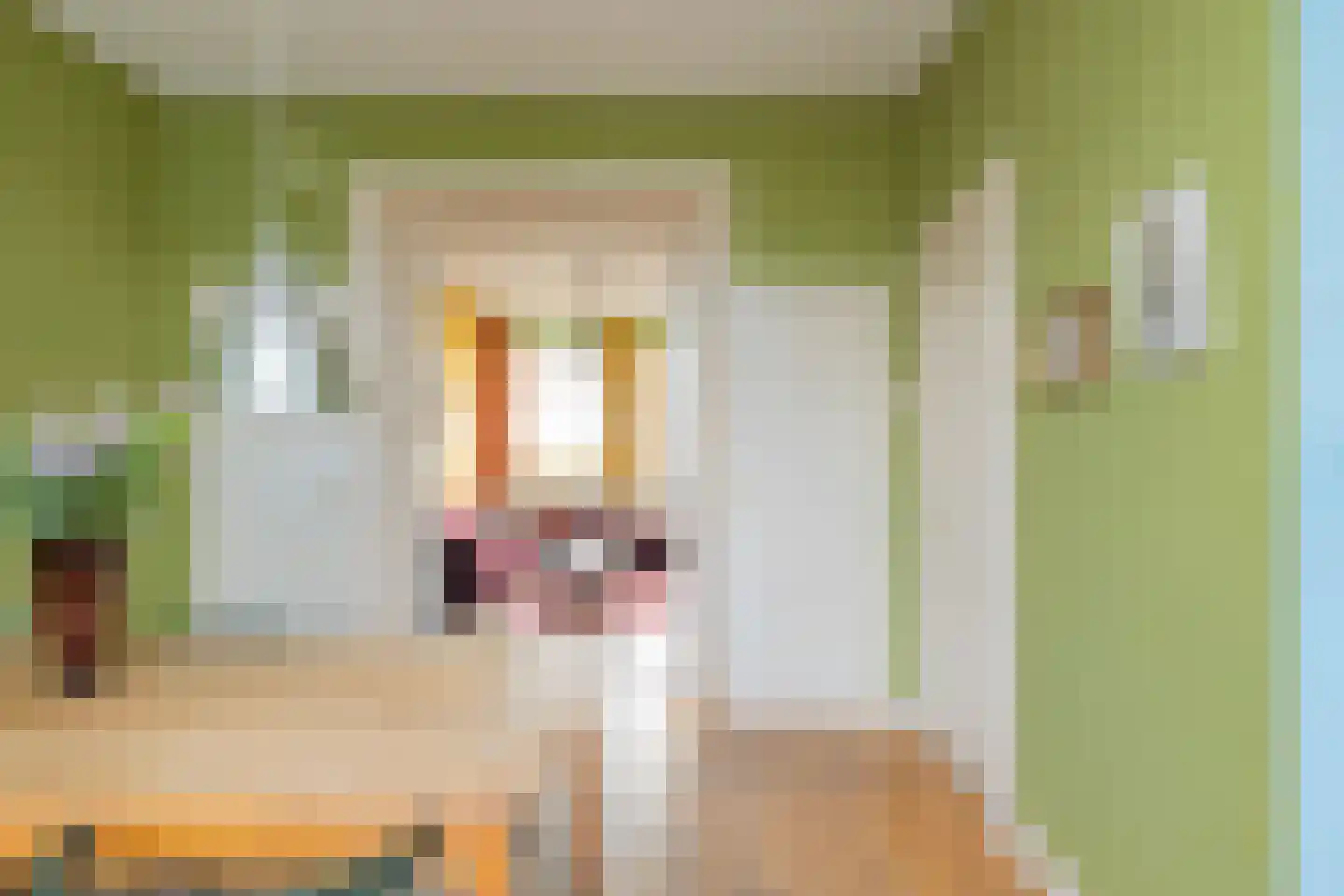 Leidsevaart 360 RD Haarlem thumbnail 8