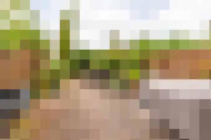 Leidsevaart 4 a Bennebroek thumbnail 15