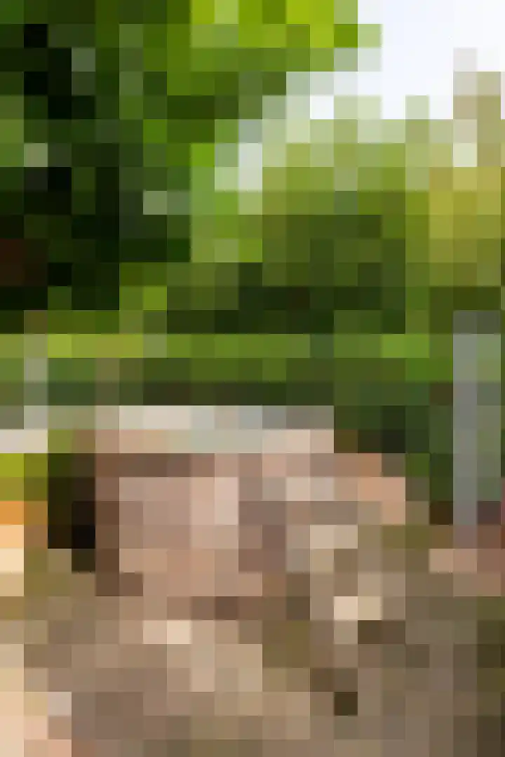 Leidsevaart 4 a Bennebroek thumbnail 20