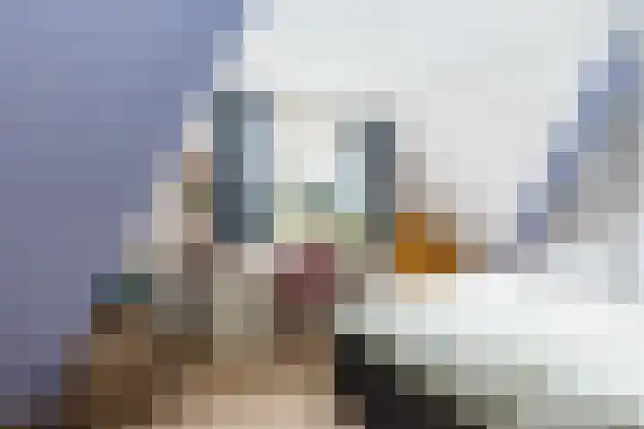 Leidsevaart 4 a Bennebroek thumbnail 28