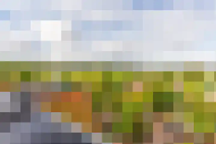 Leidsevaart 4 a Bennebroek thumbnail 32