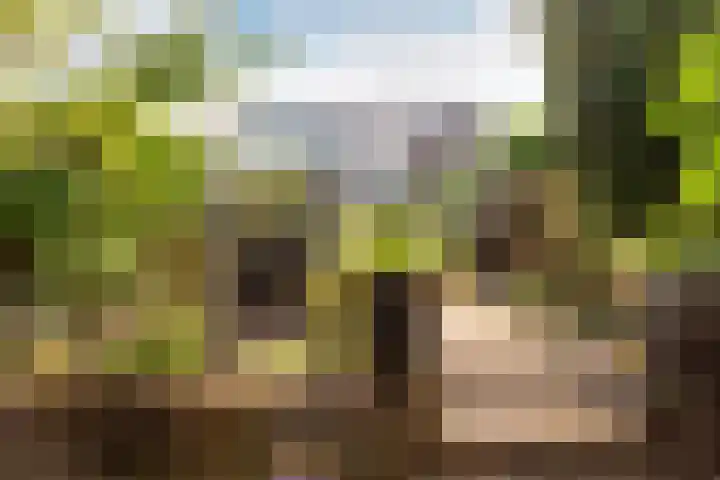 Leidsevaart 4 a Bennebroek thumbnail 4