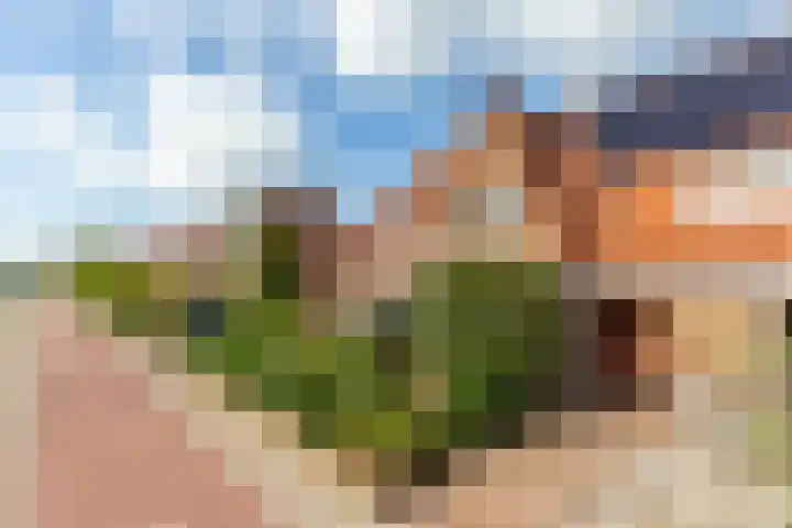 Leidsevaart 4 a Bennebroek thumbnail 6