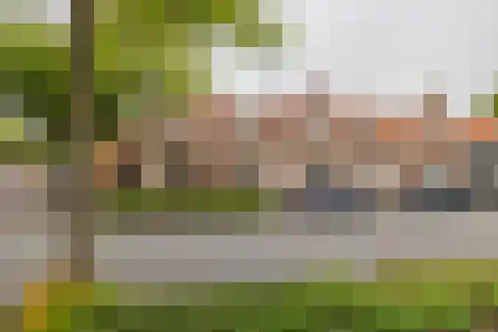 Leidsevaart 414 Haarlem thumbnail 41