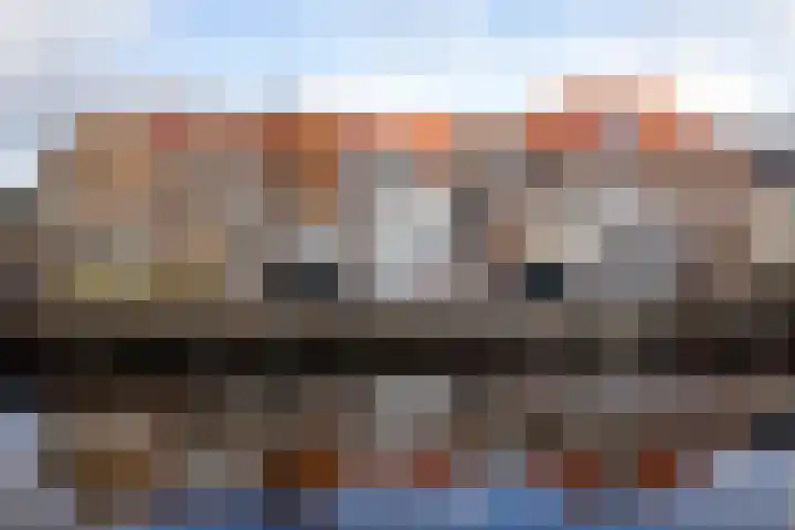 Leidsevaart 448 A Haarlem thumbnail 25