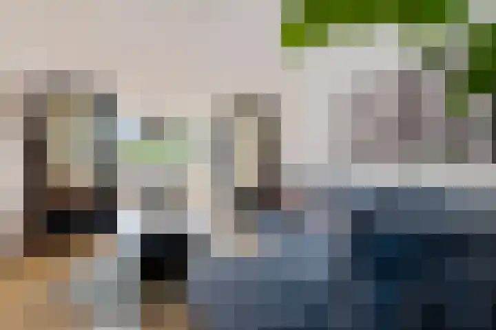 Leidsevaart 492 ZW Haarlem thumbnail 5