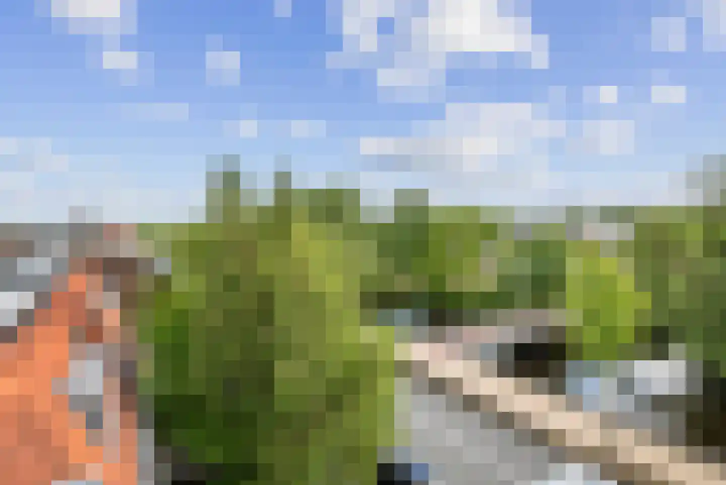 Leidsevaart 502 RD Haarlem thumbnail 35