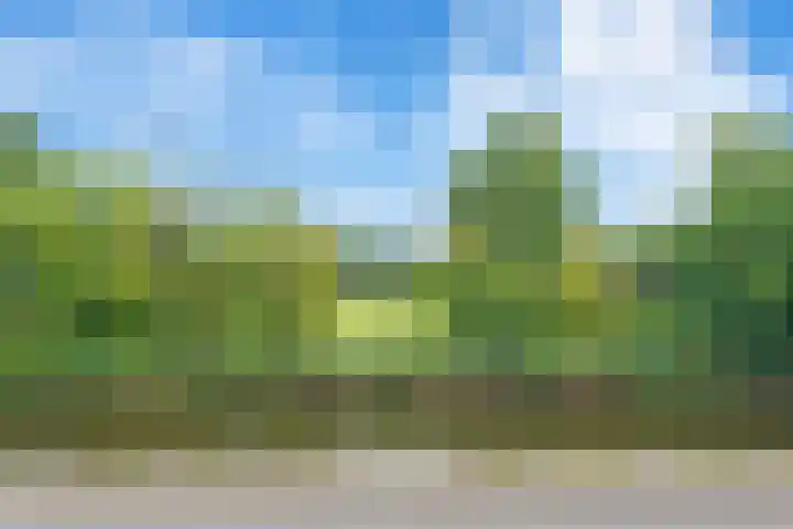Leidsevaart 554 Haarlem thumbnail 65