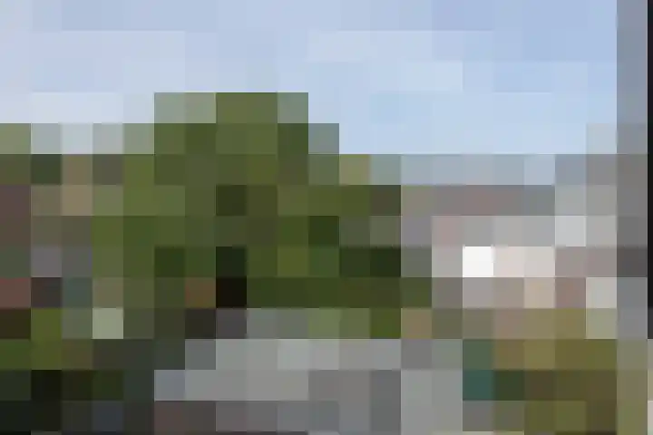 Leidsevaart 68 Haarlem thumbnail 39