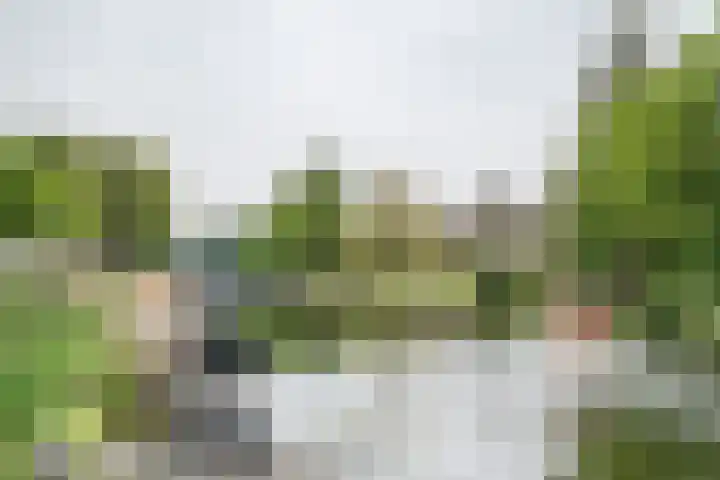 Leidsevaart 74 Vogelenzang thumbnail 4