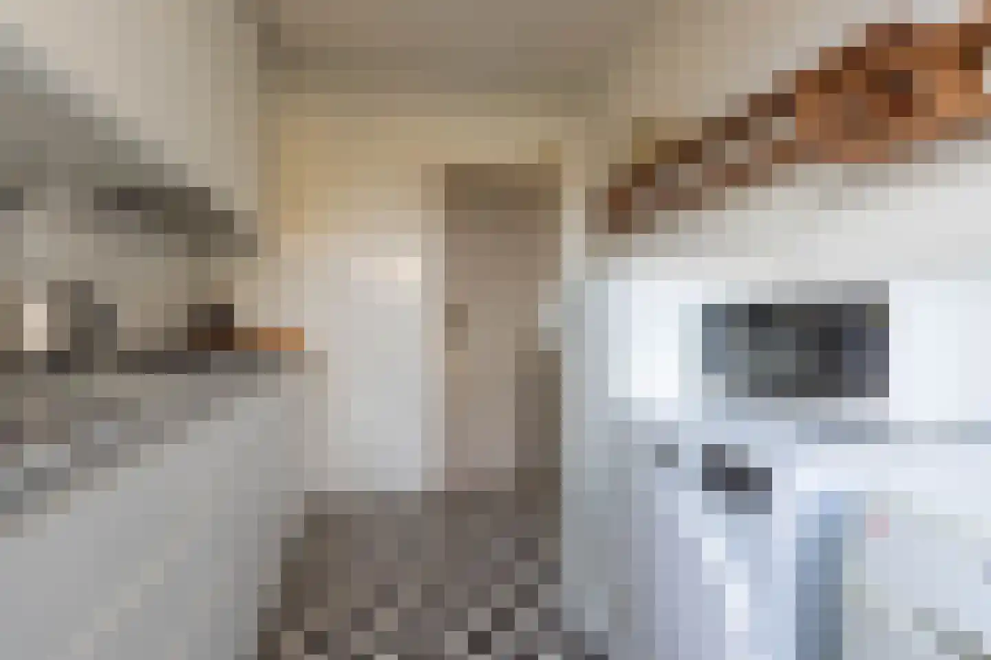 Leidsevaartlaan 35 Rijnsaterwoude thumbnail 23