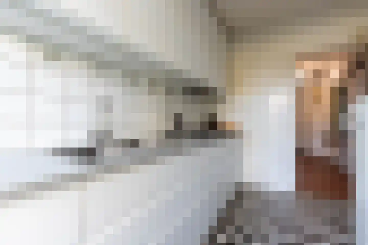 Leidsevaartlaan 35 Rijnsaterwoude thumbnail 24