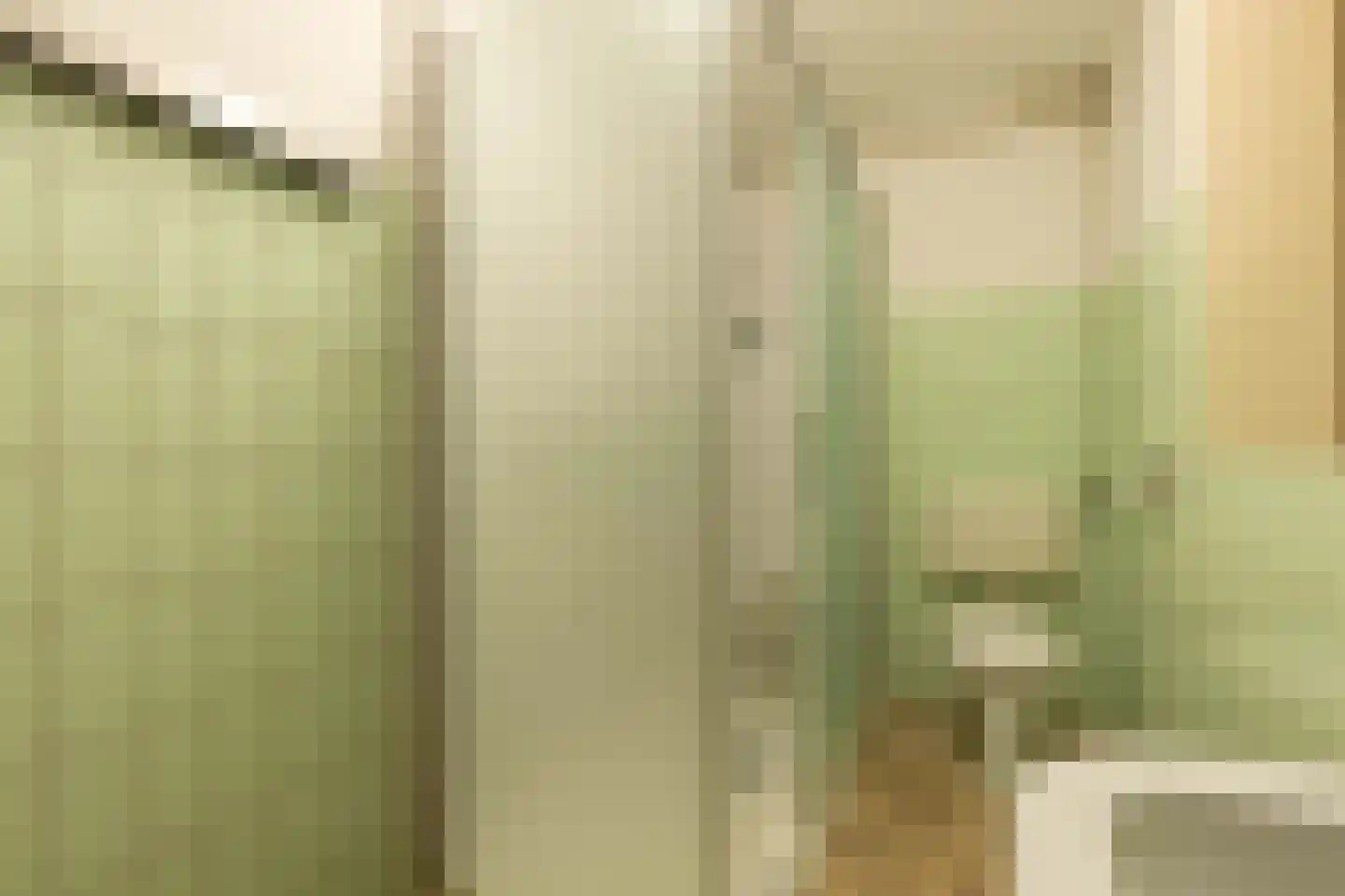 Leidsevaartlaan 35 Rijnsaterwoude thumbnail 36