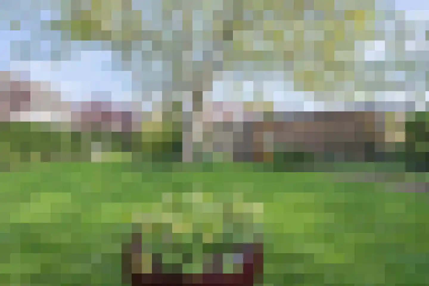 Leidsevaartlaan 35 Rijnsaterwoude thumbnail 4