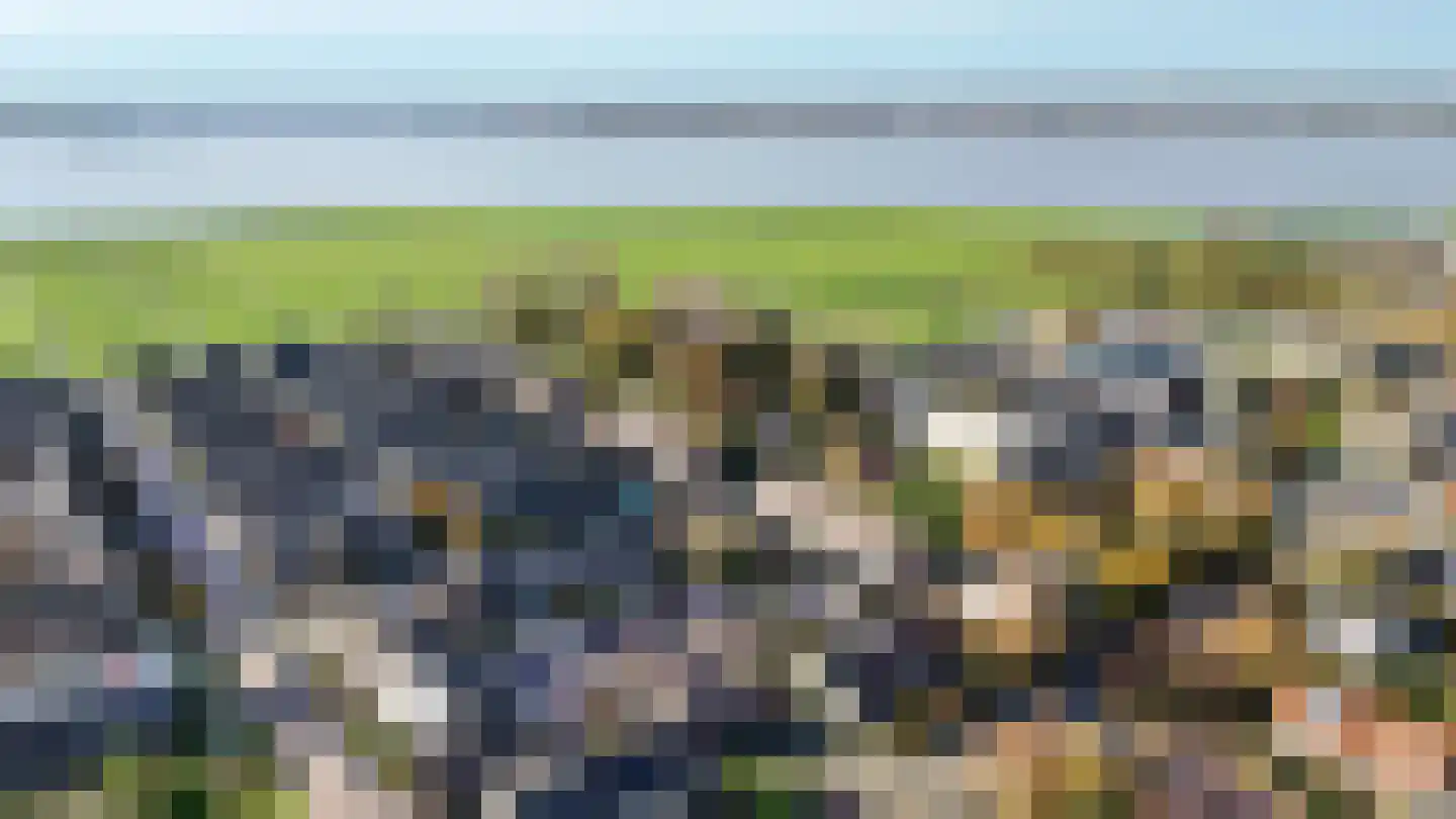 Leidsevaartlaan 35 Rijnsaterwoude thumbnail 6