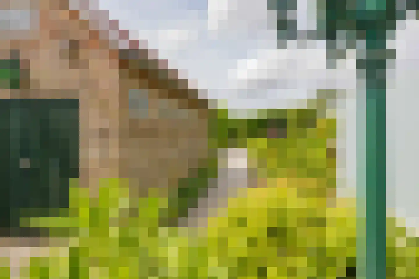 Leidsevaartweg 37 Heemstede thumbnail 35