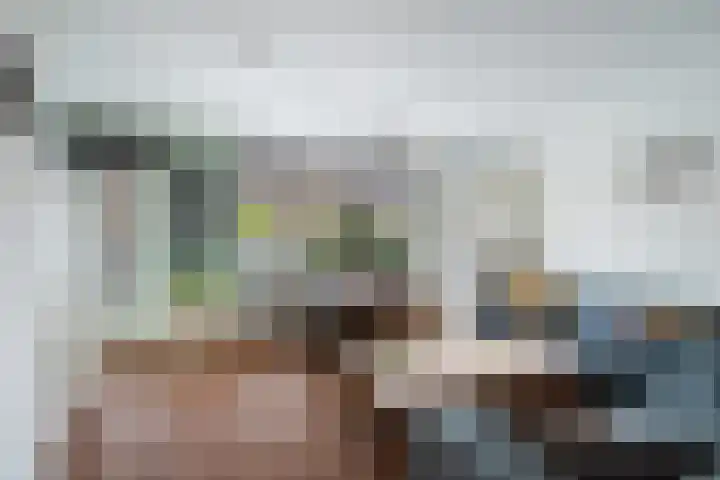 Leidsewallen 63 Zoetermeer thumbnail 15