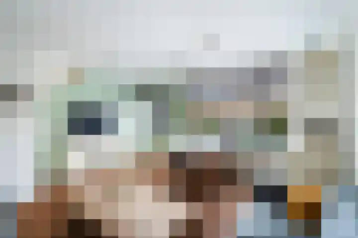 Leidsewallen 63 Zoetermeer thumbnail 16