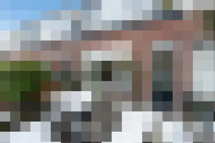 Leidsewallen 63 Zoetermeer thumbnail 23