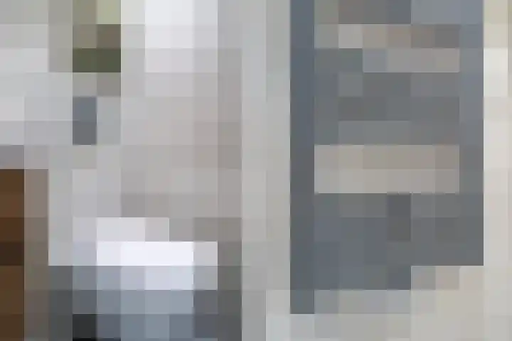 Leidsewallen 63 Zoetermeer thumbnail 36