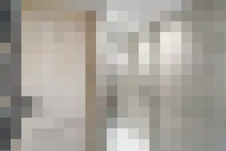 Leidsewallen 63 Zoetermeer thumbnail 38