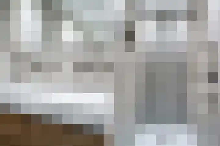 Leidsewallen 63 Zoetermeer thumbnail 4