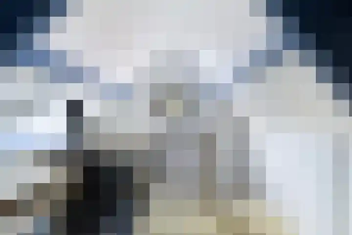 Leidsewallen 63 Zoetermeer thumbnail 40