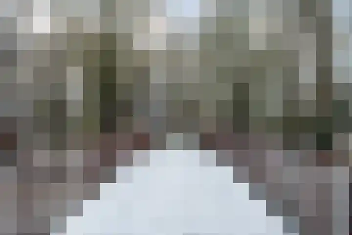 Leidsewallen 63 Zoetermeer thumbnail 47