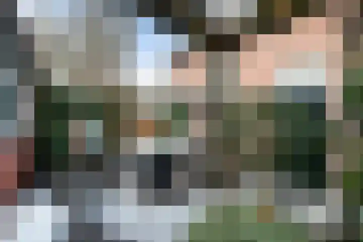Leidsewallen 63 Zoetermeer thumbnail 7