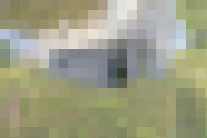 Leidseweg 133 Utrecht thumbnail 11